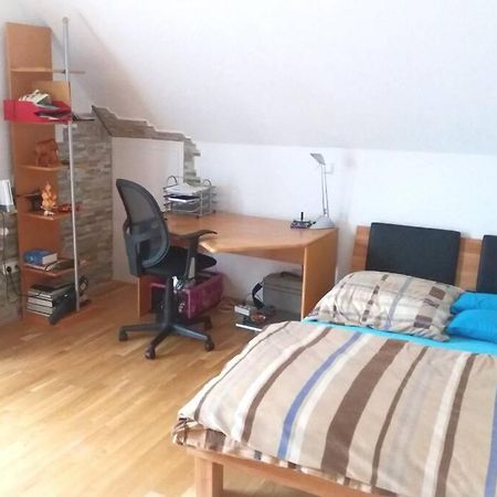 Neue, Helle Wohnung In Ludwigsburg, Nah Am Schloss 外观 照片