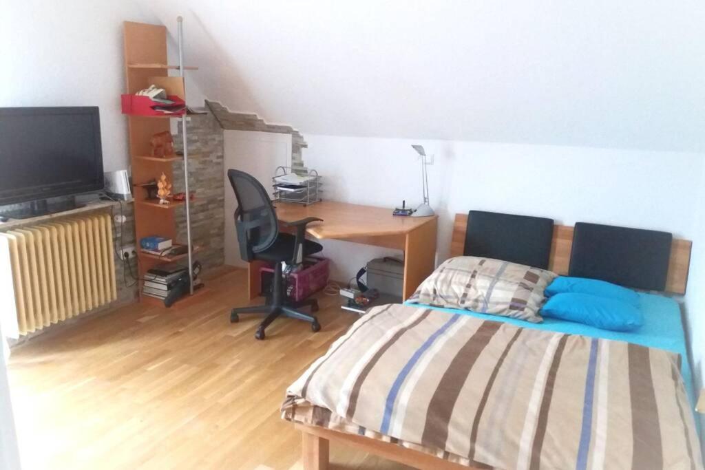 Neue, Helle Wohnung In Ludwigsburg, Nah Am Schloss 外观 照片